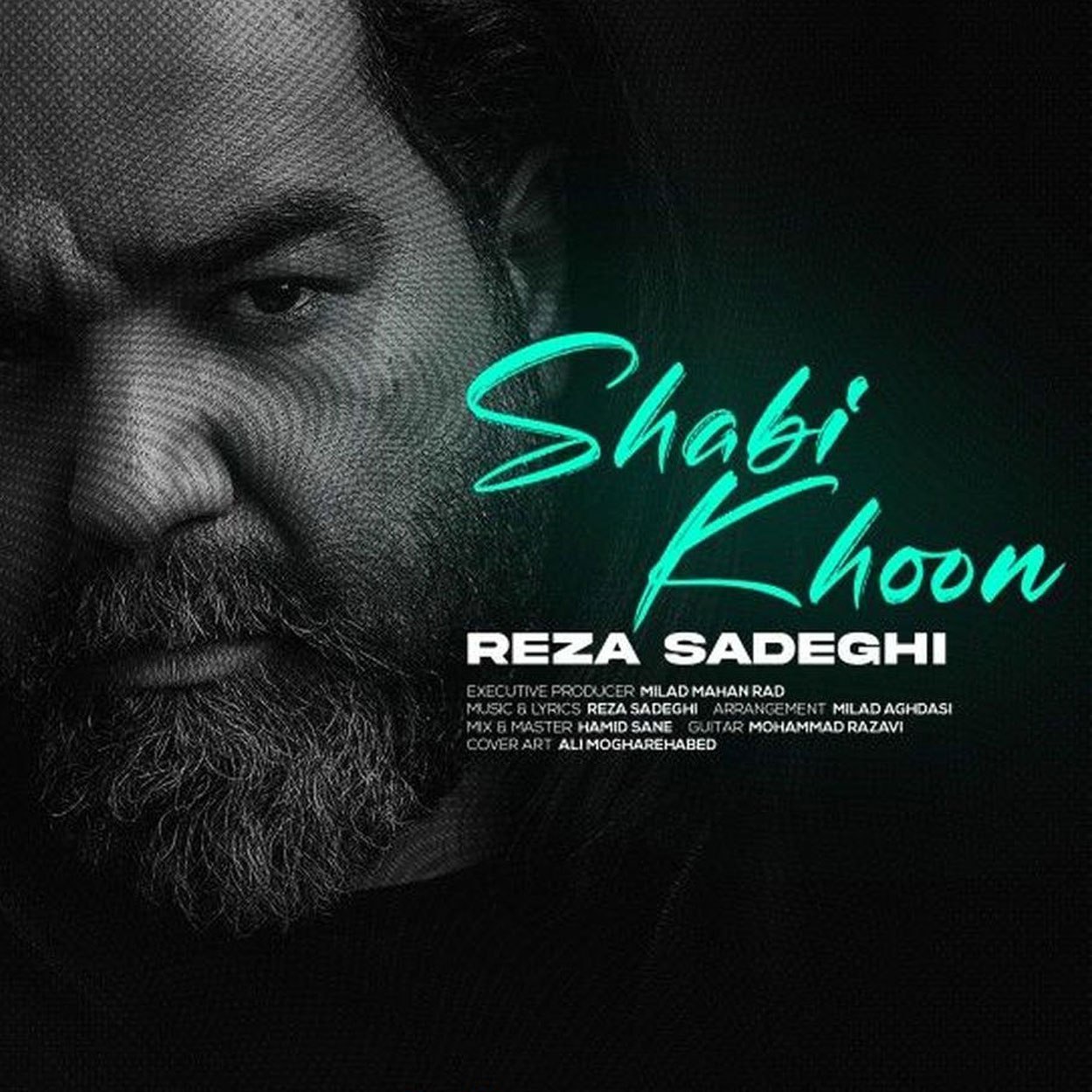آهنگ Reza Sadeghi - Shabikhoon
